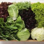 Turunkan Berat Badan Dengan Makan Sayur: Fakta Atau Mitos?