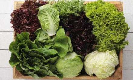 Turunkan Berat Badan Dengan Makan Sayur: Fakta Atau Mitos?