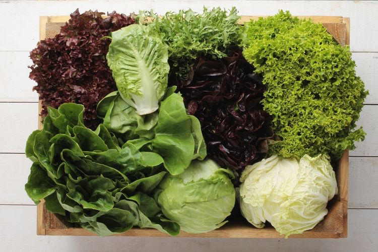 Turunkan Berat Badan Dengan Makan Sayur: Fakta Atau Mitos?