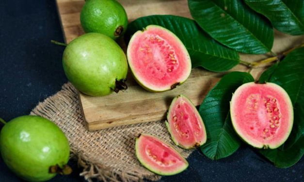Sehat Alami! Jus Jambu Biji & Perannya Dalam Melawan Anemia
