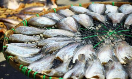 Gurih Dan Alami, Ikan Asin Karimunjawa Cocok Jadi Oleh-Oleh