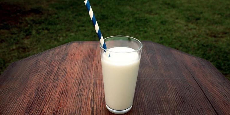 Hati-Hati! Kebiasaan Minum Susu Bisa Memicu Bau Mulut