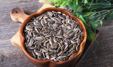 Makin Sehat! Biji Bunga Matahari Bisa Jadi Camilan Saat Diet