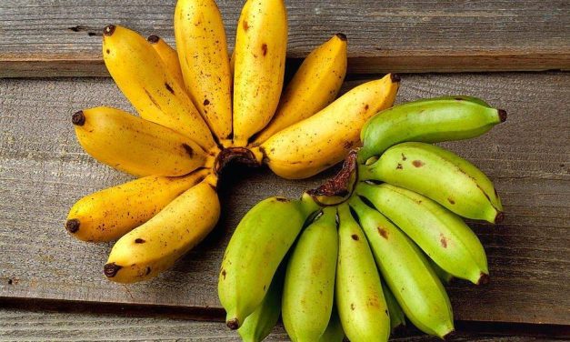 Waspada Gula! Pisang Matang Memengaruhi Kadar Gula Darah