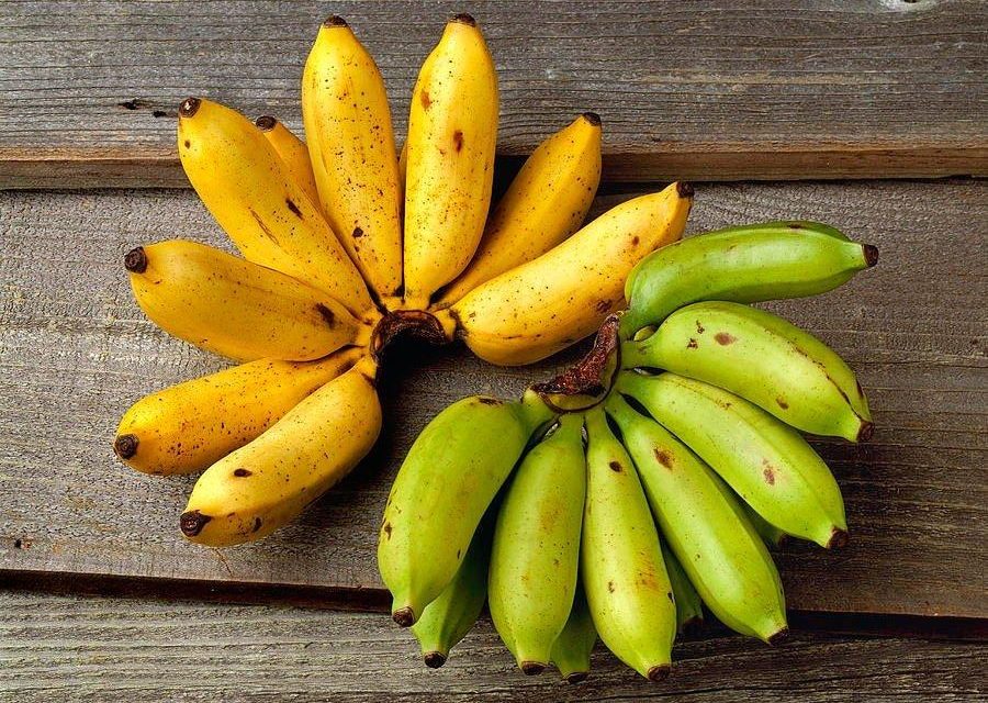 Waspada Gula! Pisang Matang Memengaruhi Kadar Gula Darah